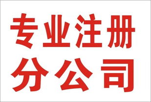 重慶南岸財務代理代賬與會計審計服務的價值解析